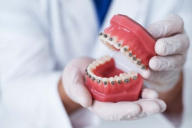 great-comfort-dentist-holding-demo-dental-care-explain-chat-oral-health