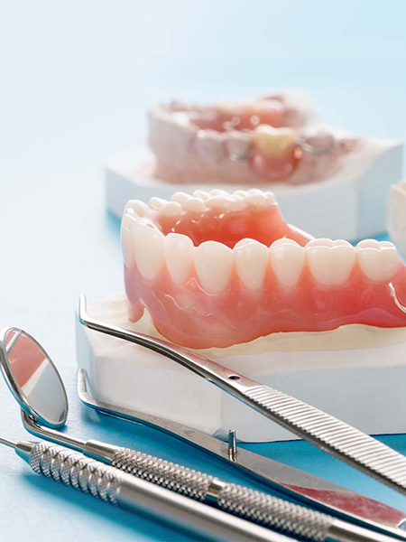 dentures model