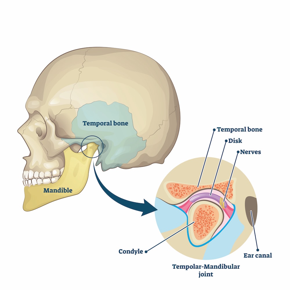 temporomandibular jaw joint diagram